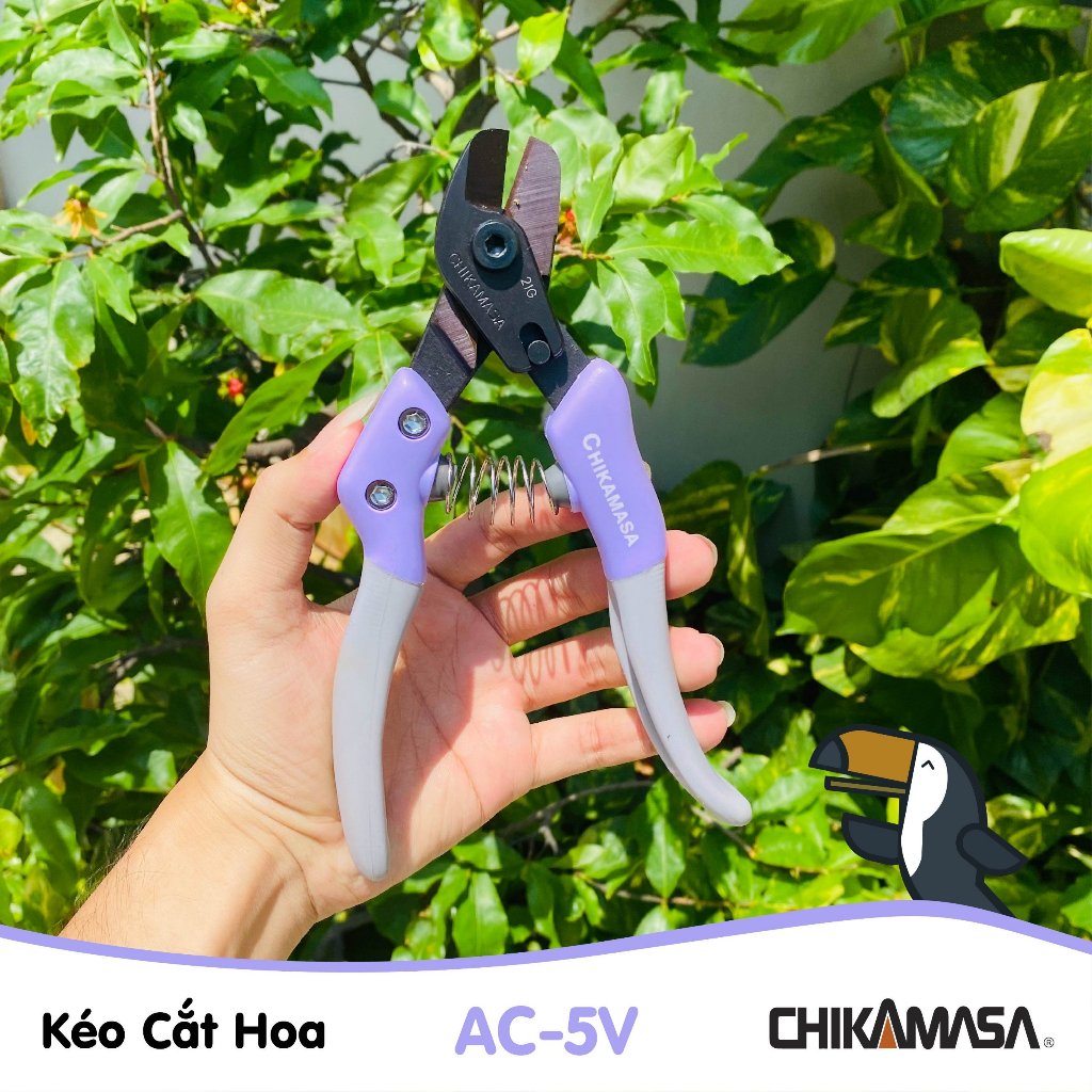 Kéo cắt hoa giả Nhật Bản Chikamasa AC-5V