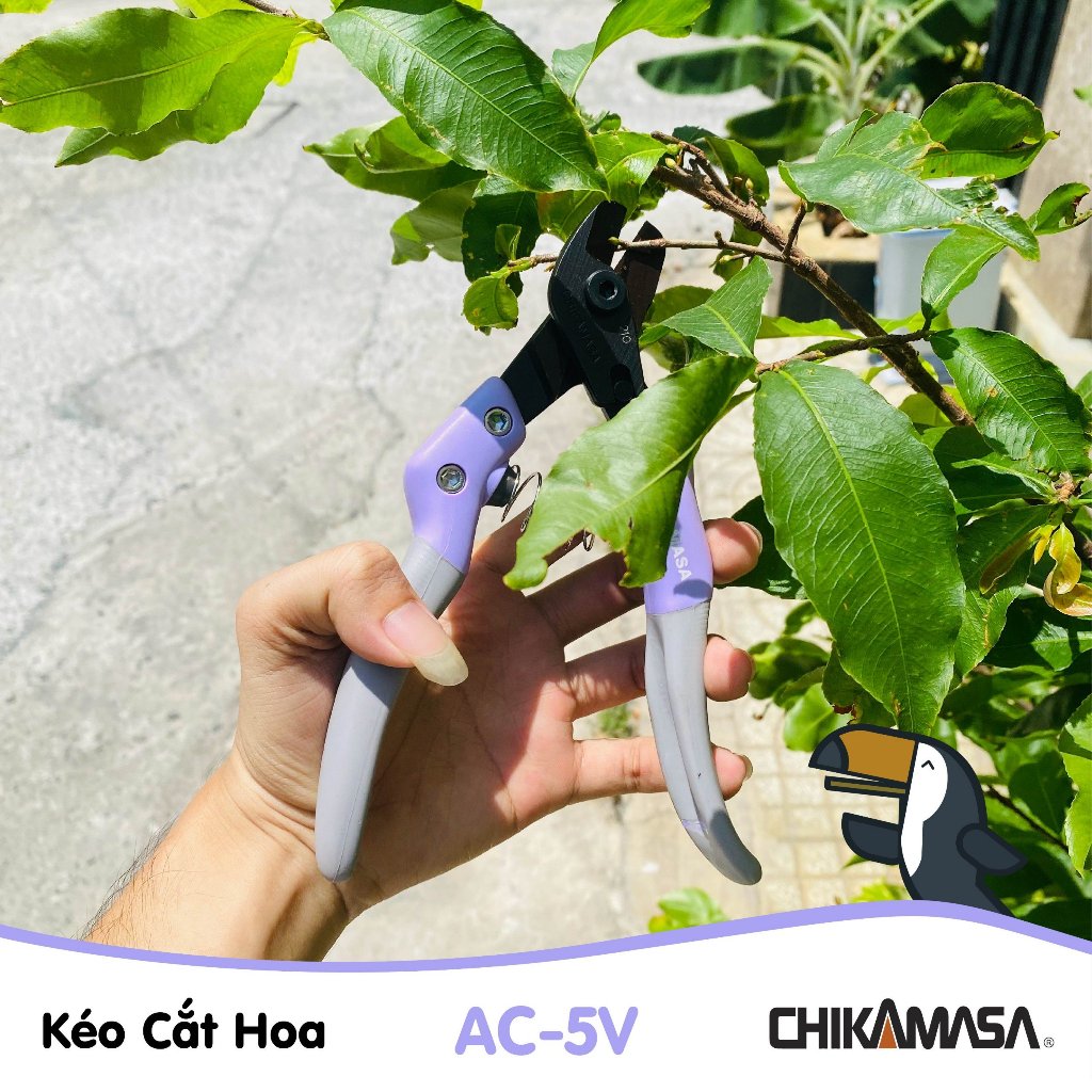 Kéo cắt hoa giả Nhật Bản Chikamasa AC-5V