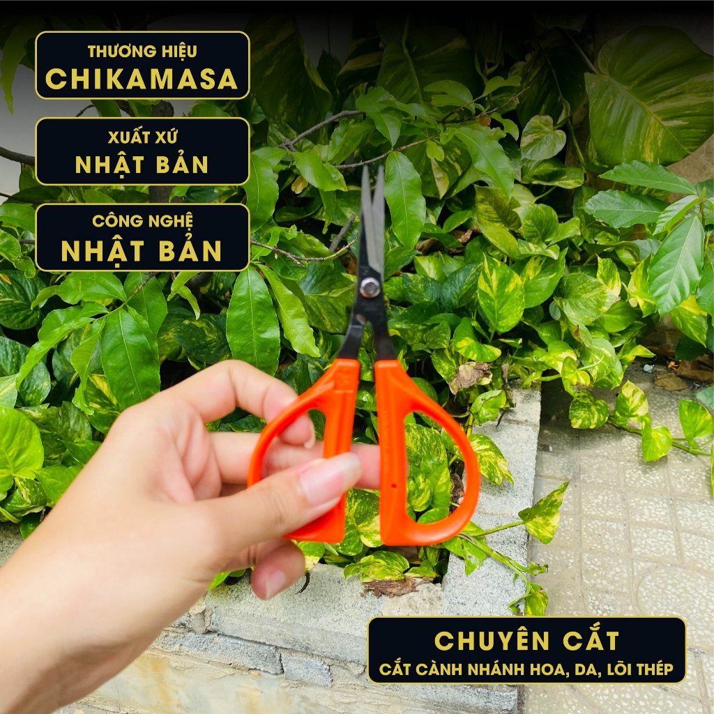 Kéo cắt hoa Nhật Bản Chikamasa NS-140