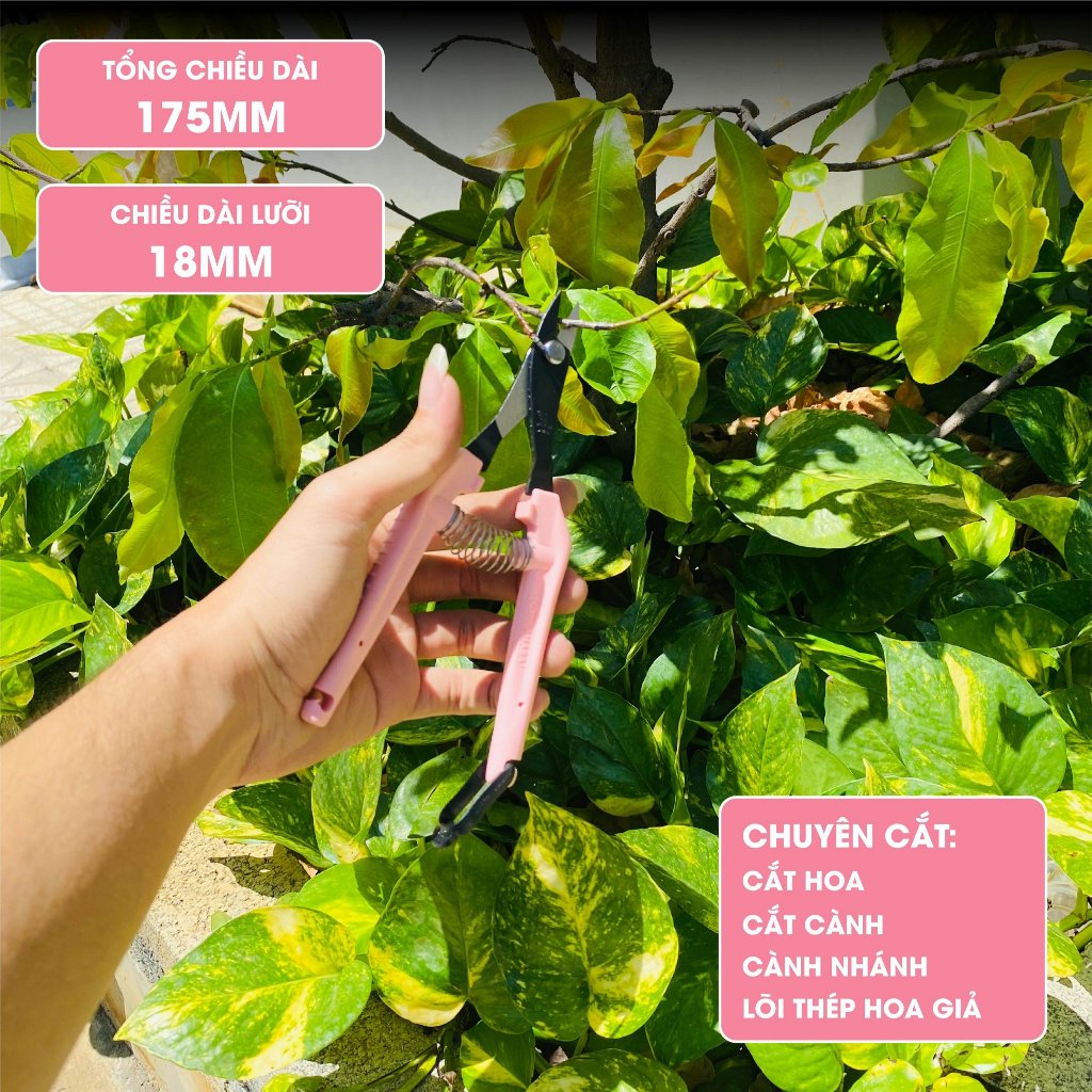 Kéo cắt kẽm nhung Nhật Bản Chikamasa TP-600 (Hồng) / TP-600BK (Đen)