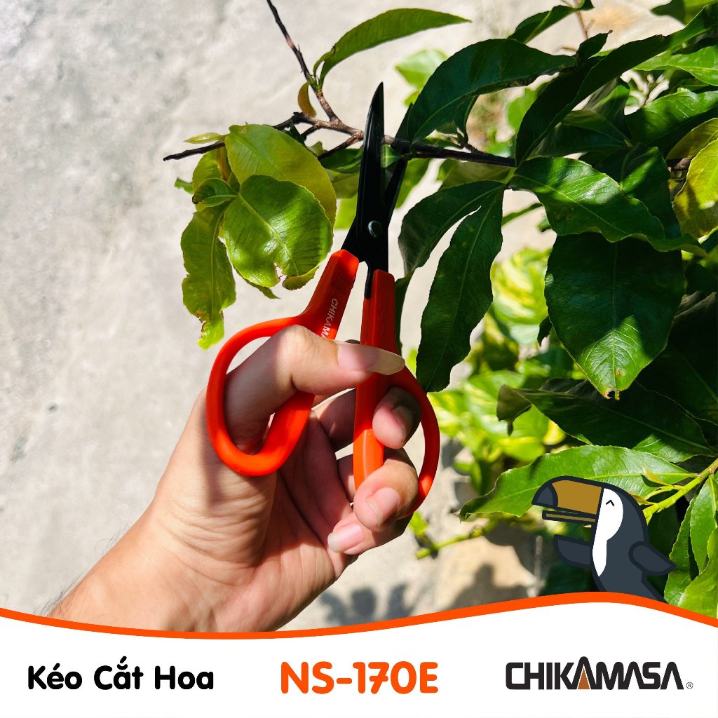 Kéo cắt hoa Nhật Bản Chikamasa NS-170E