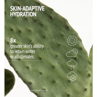 Kem Dưỡng Comfort Zone Cấp Ẩm Dịu Nhẹ, Làm Sáng Da Comfort Zone Hydramemory Light Sorbet Cream 60ml