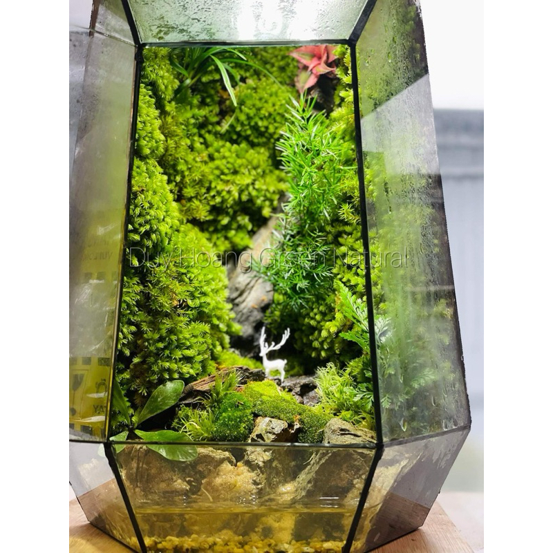 Mô hình hươu trắng in 3d làm tiểu cảnh,terrarium DIY