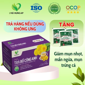 Trà bồ công anh túi lọc, lợi sữa, giảm mụn nhọt, thanh nhiệt cơ thể, trà thảo mộc túi lọc AP Phú Hưng