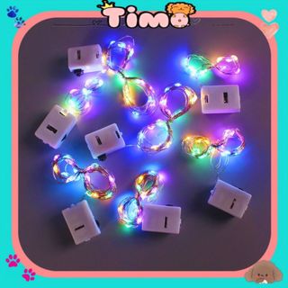 Đèn Led Trang Trí Nhỏ Decor Phòng Dây Trắng Vàng Nhiều Màu Timo DS11