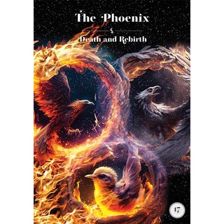 Bộ Bài Black Moon Lilith Cosmic Alchemy Oracle (Mystic House Tarot) - Bài Gốc Authentic Chính Hãng 100%