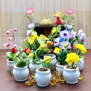 Chậu Hoa Mini Đất Sét Nhật Bàn Làm Việc Trang Trí decor