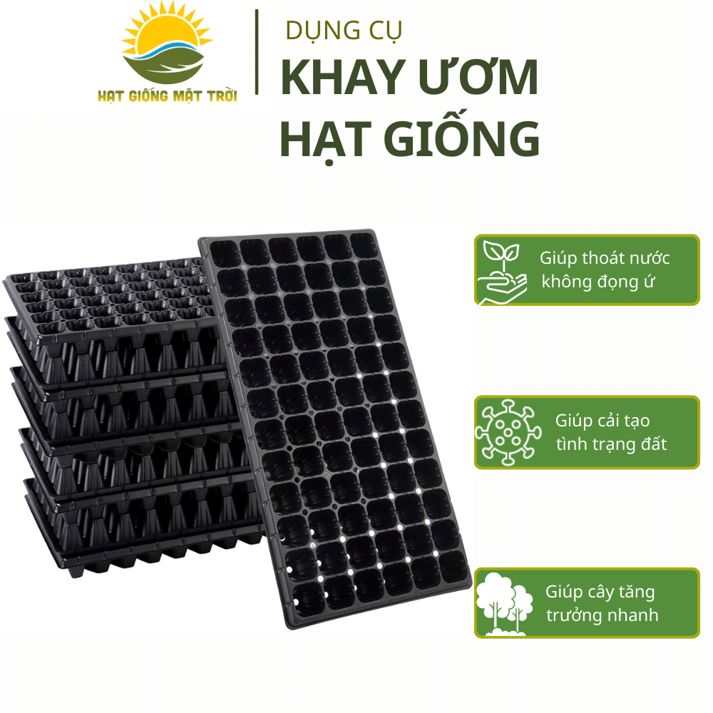 Khay Ươm Hạt Giống, Khay nhựa ươm cây,nhiều kích thước,nhựa dày, chịu ...