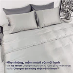 [Nhiều màu] Bộ 4 món ga gối Tencel Châu Âu (Nệm dày >20cm) Changmi Bedding cao cấp siêu mềm mượt và mát lạnh — ảnh 3