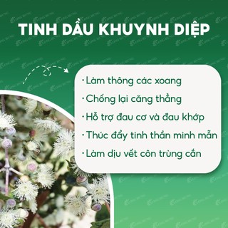 Dầu khuynh diệp con ó Eagle Brand Eucalyptus Oil (30ml)
