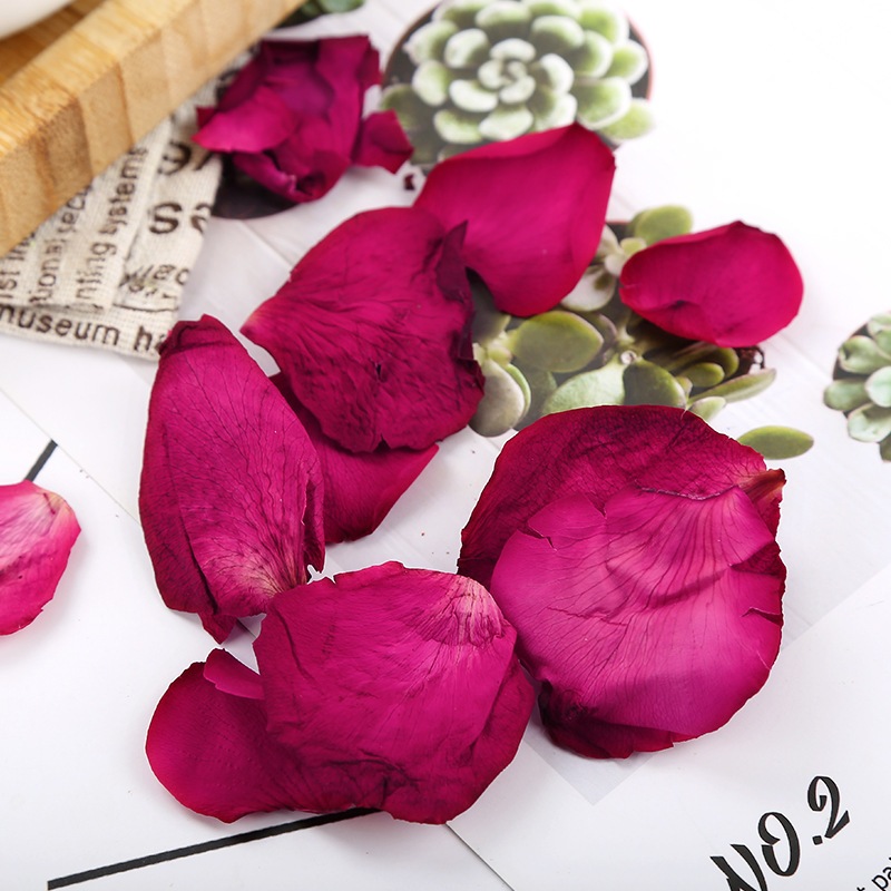 Cánh hoa hồng khô màu tươi, đẹp, không vụn (Hoa khô trang trí, thả bồn tắm, ngâm chân thư giãn)