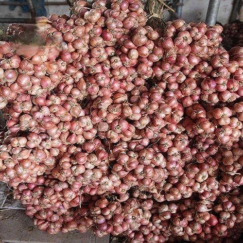 Hành Bắc khô 3kg loại 1 đã chọn lọc hành quê trồng