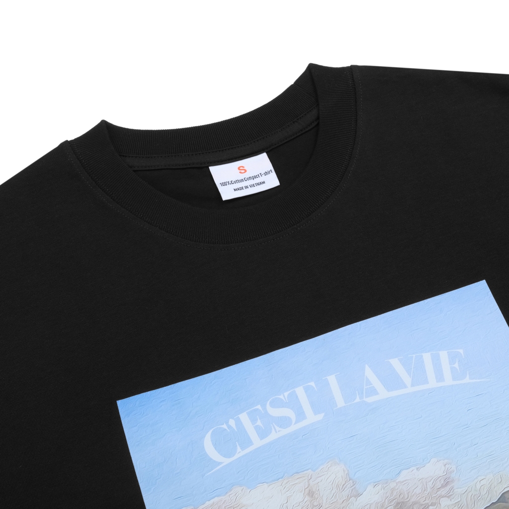 Áo thun nam nữ unisex, vải cotton, in lụa, 250gsm, bao đẹp, bao chất lượng, nên mua