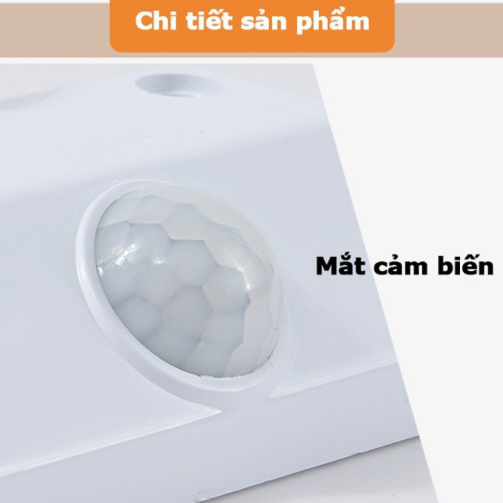 Đuôi đèn Cảm ứng chuyển động Hồng ngoại, Đuôi đèn Cảm biến Chuyển động Hồng ngoại, Đuôi đèn cảm biến