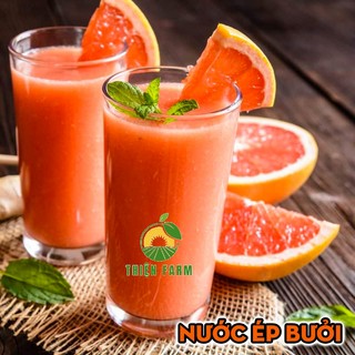 Cây Bưởi Da Xanh THIỆN FARM 100cm, thịt hồng quả to, chua ngọt đậm đà, cây trồng chậu, sân thượng