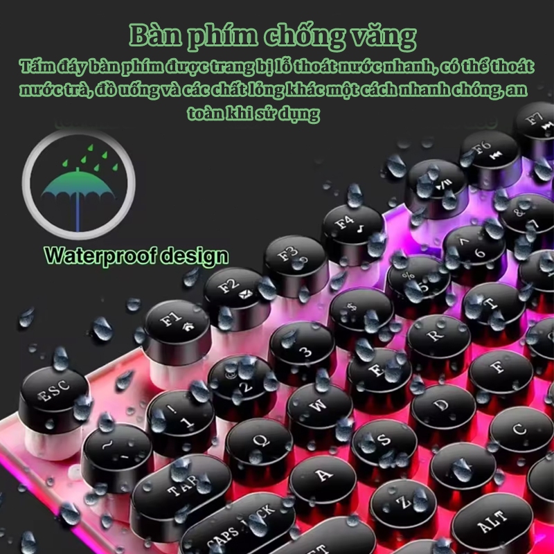 Ảnh 6