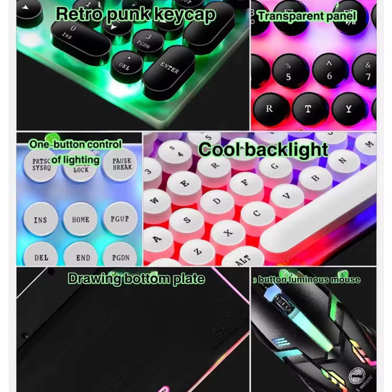 Ảnh 5