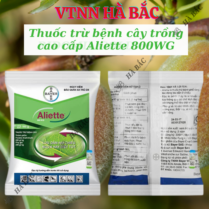 Thuốc xử lí nấm Aliette 800WG (100gr), Chế phẩm trừ nấm bệnh cao cấp, lưu dẫn 2 chiều, ngừa bệnh tốt cho cây trồng