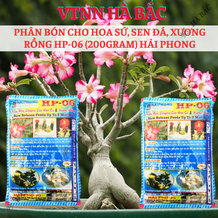 Phân bón cho hoa sứ, sen đá, xương rồng HP-06 gói 200gram Hải Phong, kích thích ra hoa và giúp hoa nở đều