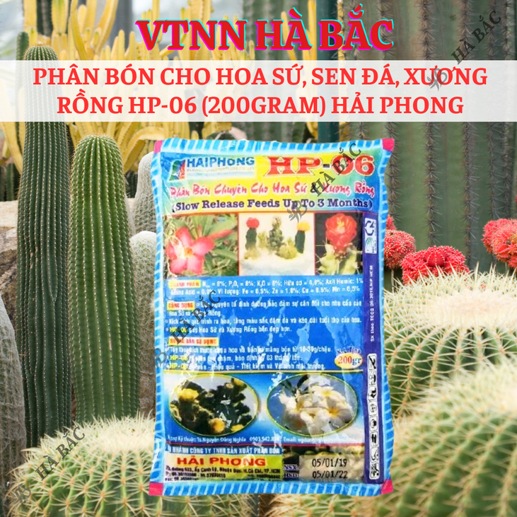 Phân bón cho hoa sứ, sen đá, xương rồng HP-06 gói 200gram Hải Phong, kích thích ra hoa và giúp hoa nở đều
