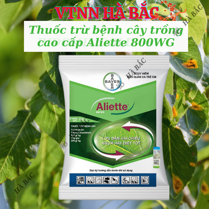 Thuốc xử lí nấm Aliette 800WG (100gr), Chế phẩm trừ nấm bệnh cao cấp, lưu dẫn 2 chiều, ngừa bệnh tốt cho cây trồng