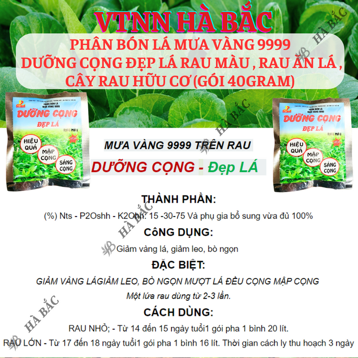 Phân bón lá Mưa Vàng 9999 DƯỠNG CỌNG Đẹp Lá rau màu , rau ăn lá , cây rau hữu cơ (gói 40gram)