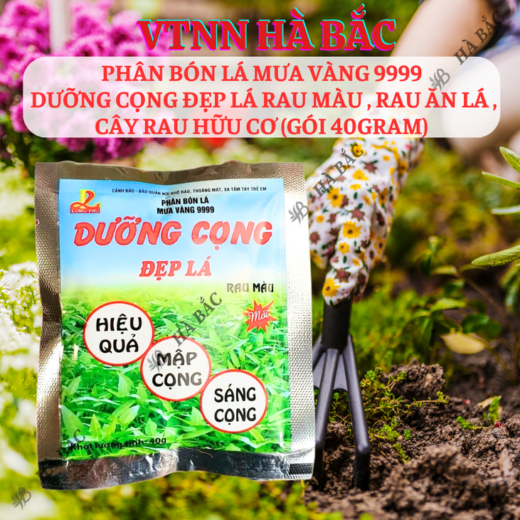 Phân bón lá Mưa Vàng 9999 DƯỠNG CỌNG Đẹp Lá rau màu , rau ăn lá , cây rau hữu cơ (gói 40gram)
