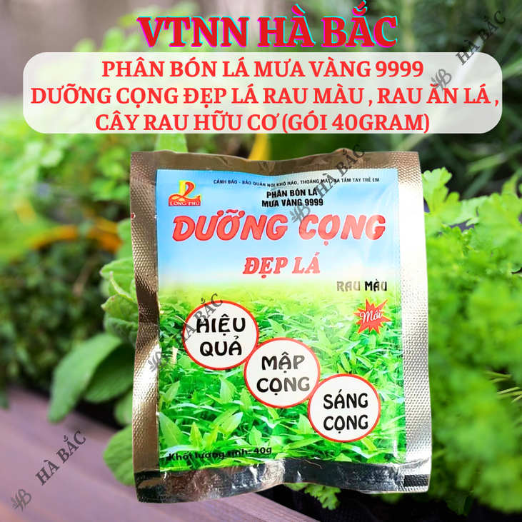 Phân bón lá Mưa Vàng 9999 DƯỠNG CỌNG Đẹp Lá rau màu , rau ăn lá , cây rau hữu cơ (gói 40gram)