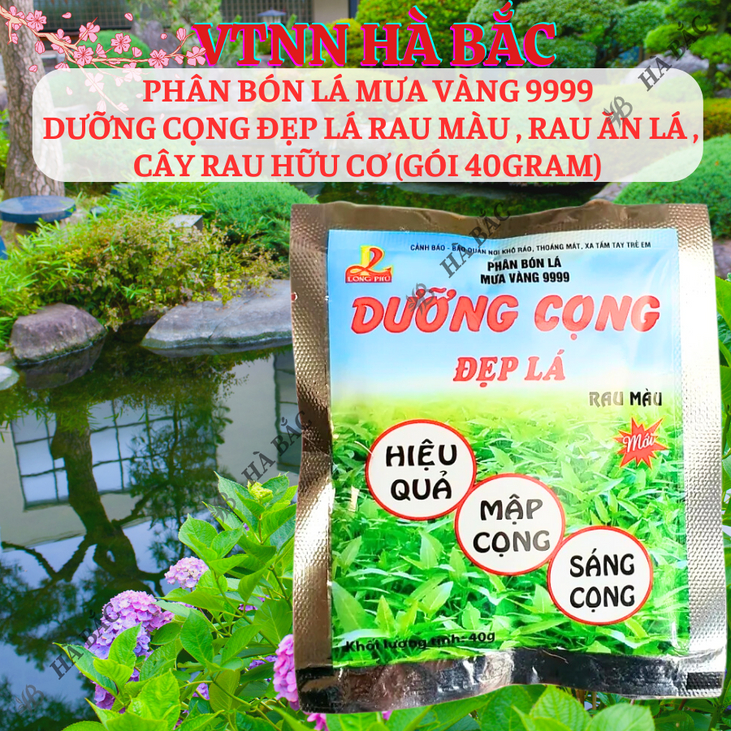 Phân bón lá Mưa Vàng 9999 DƯỠNG CỌNG Đẹp Lá rau màu , rau ăn lá , cây rau hữu cơ (gói 40gram)