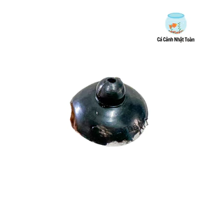 NÚM HÍT ĐẾ MÁY BƠM LỌC, BƠM NƯỚC BỂ CÁ CẢNH (1 NÚM)