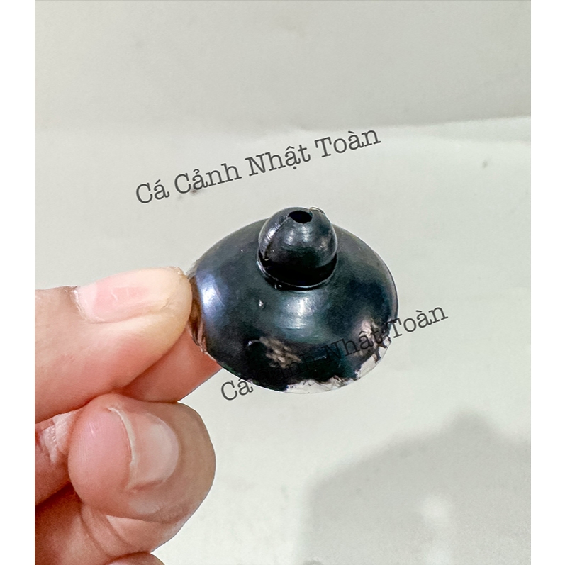 NÚM HÍT ĐẾ MÁY BƠM LỌC, BƠM NƯỚC BỂ CÁ CẢNH (1 NÚM)