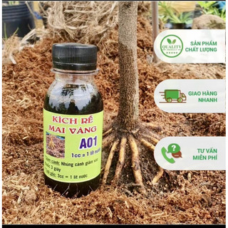 sắp đế A01 siêu kích rễ ( chính hãng )