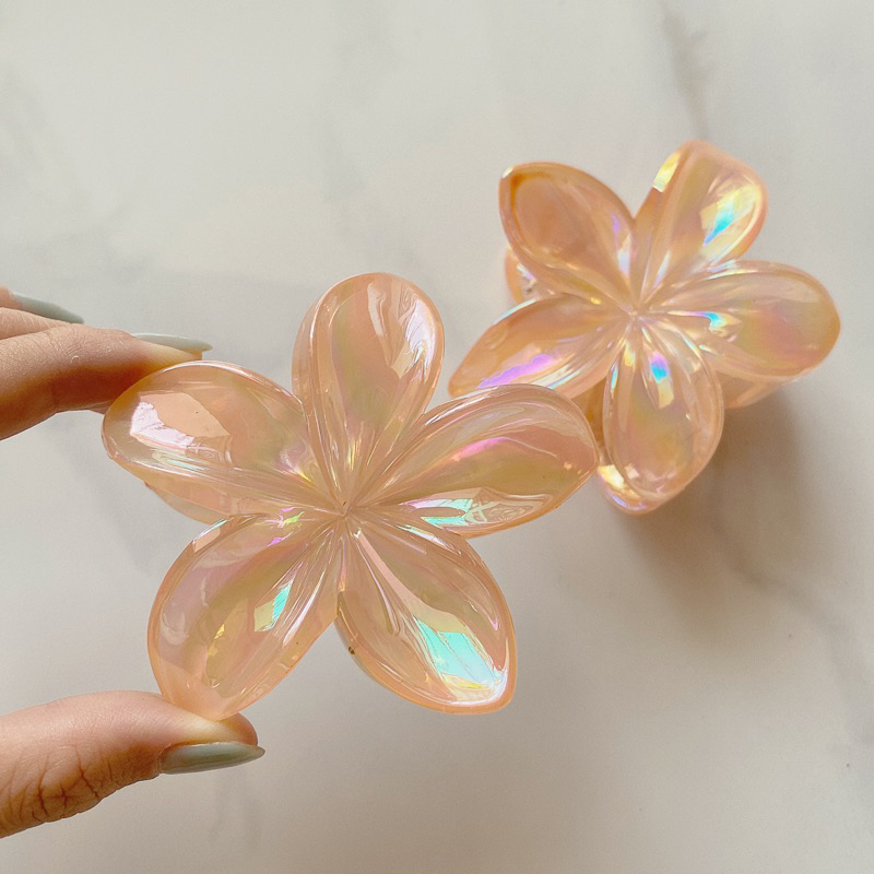 Sứ holo cam