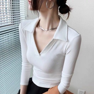 áo tay dài cổ v