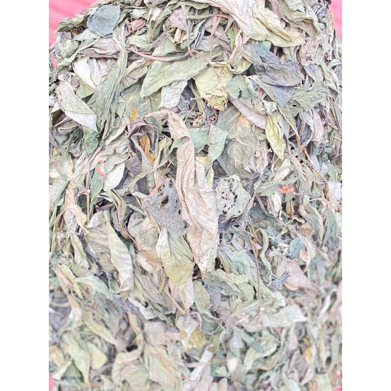 lá khôi nhung tía  khô đóng gói 1kg hỗ trợ dạ dày, đại tràng: