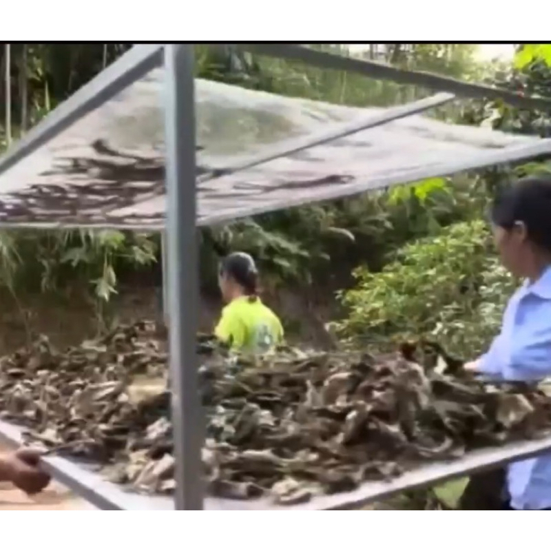 lá khôi nhung tía  khô đóng gói 1kg hỗ trợ dạ dày, đại tràng: