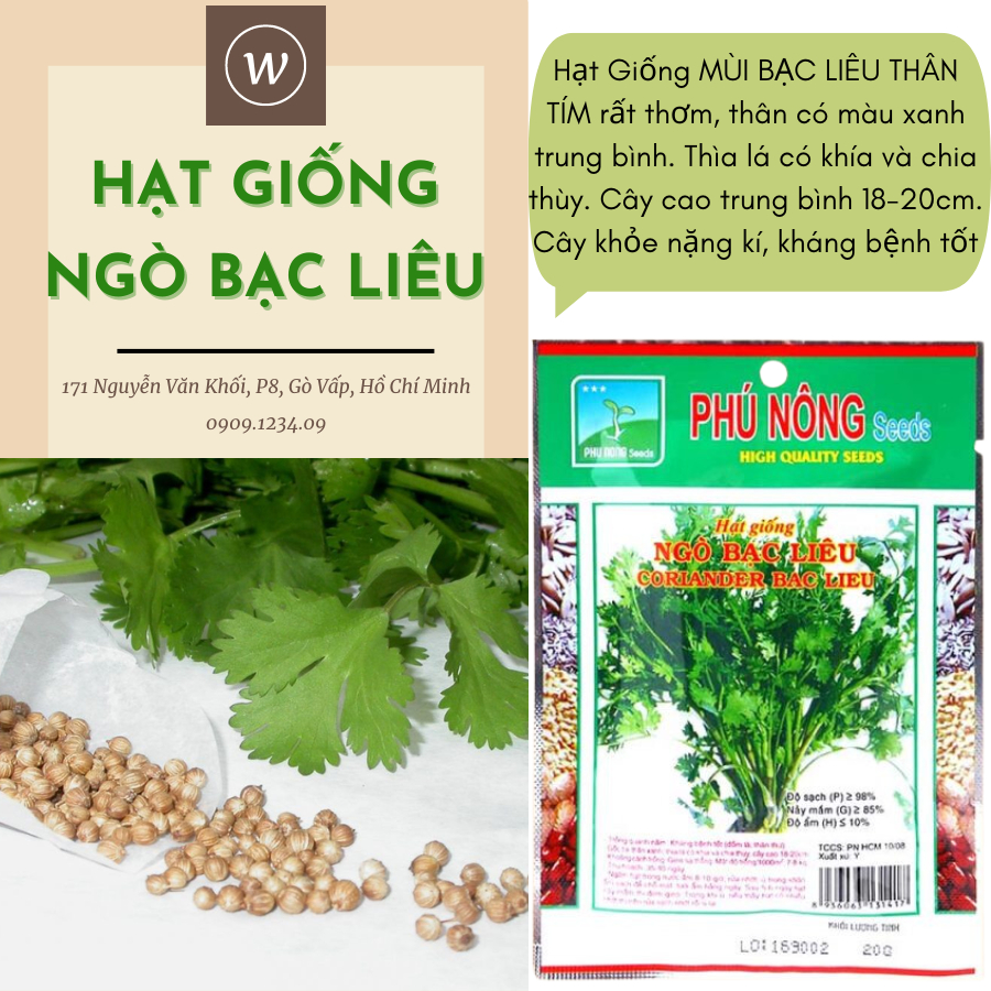 Hạt giống ngò rí Bạc Liêu Phú Nông 1