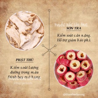 Sơn tra, phật thủ, combo giảm mỡ hiệu quả, set trà lá nam 10 vị tự chọn - Lãn Ông