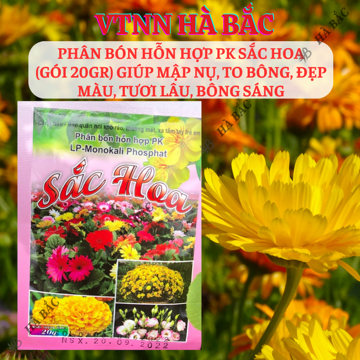Phân bón hỗn hợp PK sắc hoa (gói 20gram) Long Phú giúp mập nụ to bông, đẹp màu tươi lâu, bông sáng