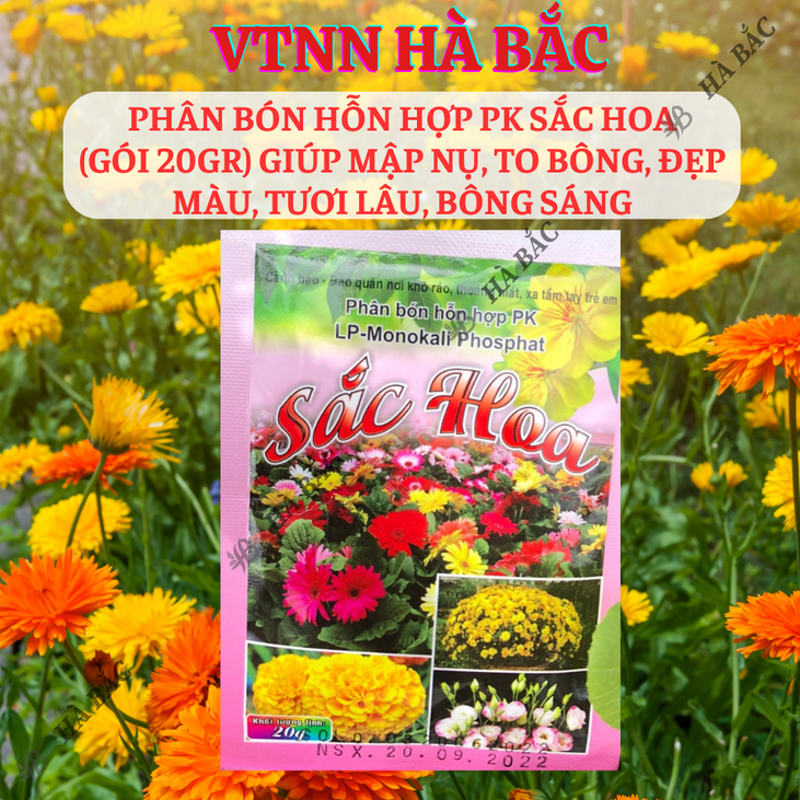 Phân bón hỗn hợp PK sắc hoa (gói 20gram) Long Phú giúp mập nụ to bông, đẹp màu tươi lâu, bông sáng