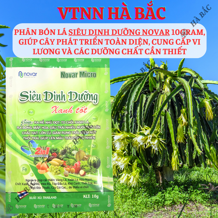 Phân bón lá siêu dinh dưỡng Novar Micro (10gram), giúp cây phát triển toàn diện, cung cấp vi lương và các dưỡng chất