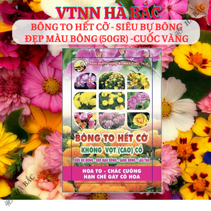 Phân Bón Lá Bông To Hết Cỡ - Siêu Bự Bông 50gram - Phân Bón Cuốc Vàng