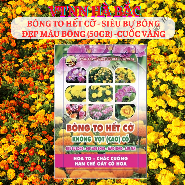 Phân Bón Lá Bông To Hết Cỡ - Siêu Bự Bông 50gram - Phân Bón Cuốc Vàng