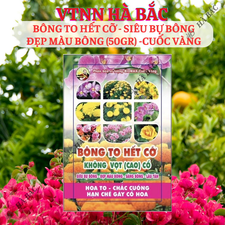 Phân Bón Lá Bông To Hết Cỡ - Siêu Bự Bông 50gram - Phân Bón Cuốc Vàng