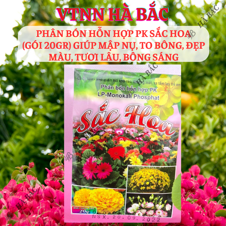 Phân bón hỗn hợp PK sắc hoa (gói 20gram) Long Phú giúp mập nụ to bông, đẹp màu tươi lâu, bông sáng