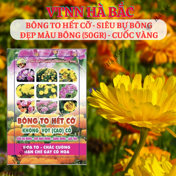 Phân Bón Lá Bông To Hết Cỡ - Siêu Bự Bông 50gram - Phân Bón Cuốc Vàng