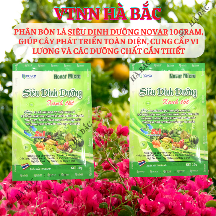 Phân bón lá siêu dinh dưỡng Novar Micro (10gram), giúp cây phát triển toàn diện, cung cấp vi lương và các dưỡng chất
