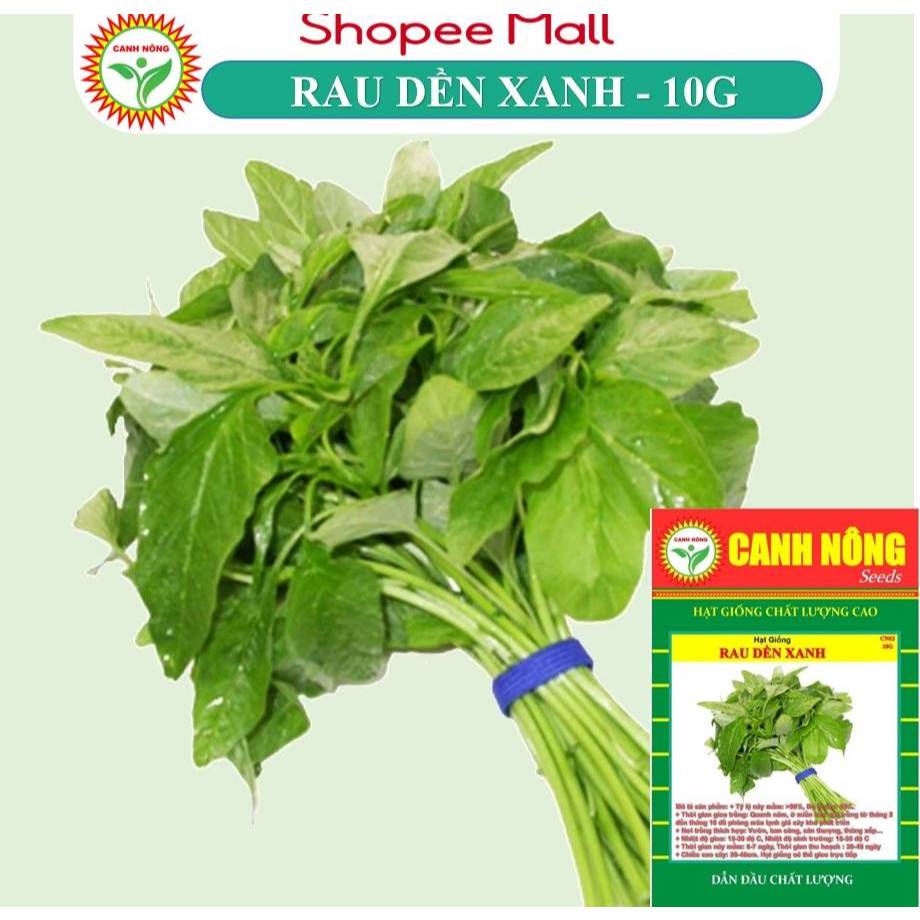 Hạt giống rau dền xanh lá tròn (lá hến) (10g~7000 hạt) QUANG NĂM dễ chăm sóc, sinh trưởng khỏe - Hạt giống CANH NÔNG