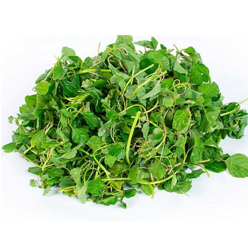 Hạt giống rau dền xanh lá tròn (lá hến) (10g~7000 hạt) QUANG NĂM dễ chăm sóc, sinh trưởng khỏe - Hạt giống CANH NÔNG
