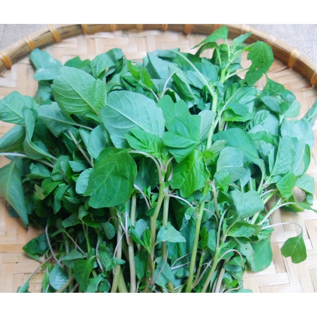 Hạt giống rau dền xanh lá tròn (lá hến) (10g~7000 hạt) QUANG NĂM dễ chăm sóc, sinh trưởng khỏe - Hạt giống CANH NÔNG